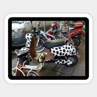 Cow scooter Sticker